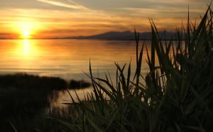 Grass Lake Sunset HD wallpaper thumb