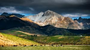 New Zealand landscape, mountain, sky, clouds, pasture, herd wallpaper thumb