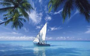 Coconut Trees Sailing Blue Clouds Sea Landscape Transport wallpaper thumb