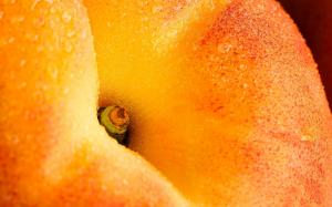 Fresh Peach wallpaper thumb