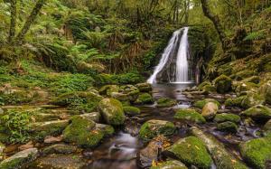 Waterfall Moss Rocks Stones Forest Jungle Stream Green HD wallpaper thumb
