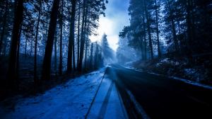 Trees, forest, road, snow, winter, sun rays, blue wallpaper thumb