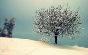 Snowy Tree with Vintage Effect wallpaper thumb