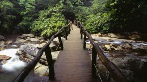 Bridge in the Great Smoky Mountains National Park wallpaper thumb