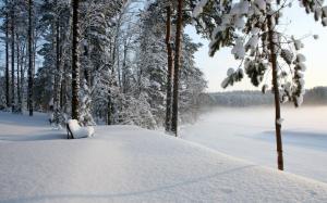 Winter Landscape Scenery wallpaper thumb