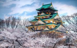 snow, Asia, building, architecture, ancient, trees wallpaper thumb