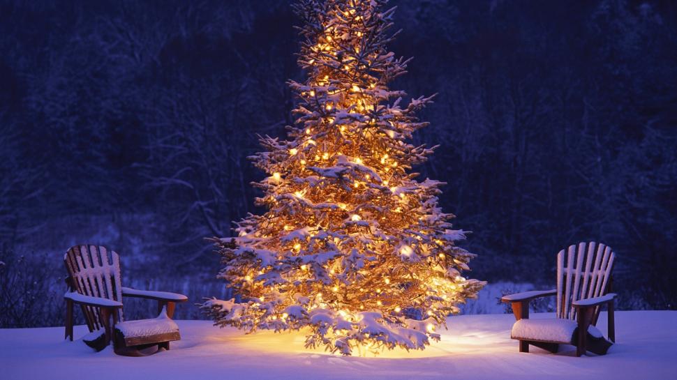 Snow Christmas Tree  Widescreen wallpaper,christmas HD wallpaper,light HD wallpaper,present HD wallpaper,snow HD wallpaper,tree HD wallpaper,1920x1080 wallpaper