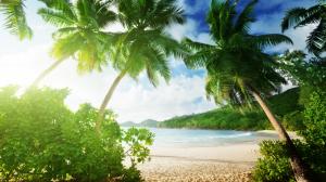Tropical beach, palm trees, sand, sea, coast, clouds wallpaper thumb