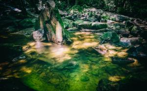 Rocks Stones Forest Puddle Moss HD wallpaper thumb