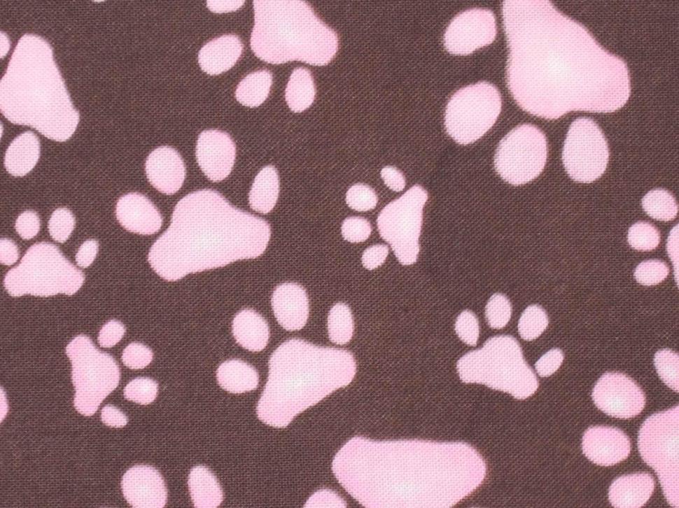 Paw Prints wallpaper,purple HD wallpaper,paw prints HD wallpaper,small HD wallpaper,pink HD wallpaper,animals HD wallpaper,2272x1704 wallpaper
