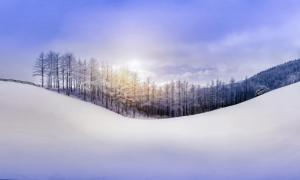 Nature Sky Forest Snow Hill Winter Free Images wallpaper thumb
