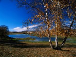 Autumn, river, trees, birch, mountain, sky, clouds wallpaper thumb