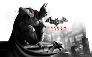 Batman Arkham City Video Game wallpaper thumb