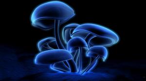 Blue Mushroom wallpaper thumb