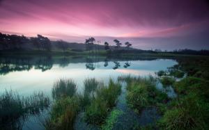 Dusk beauty, tranquil lakes, green trees, purple sky wallpaper thumb