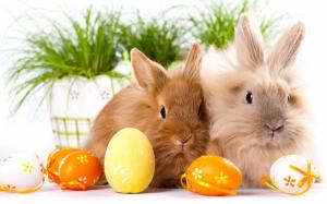 Easter Bunnys With Eggs wallpaper thumb