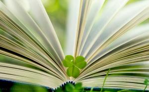 Book and green leaf wallpaper thumb