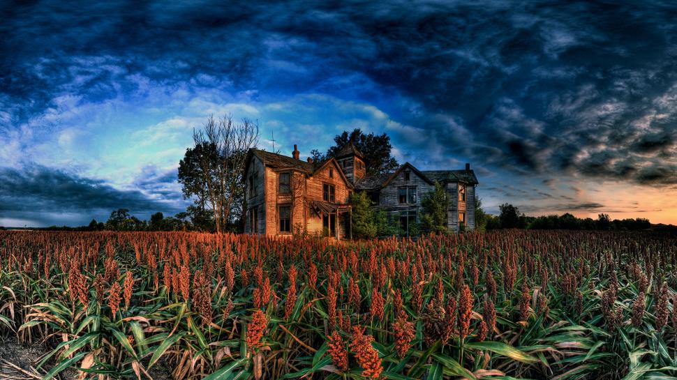 Field Abandoned Abandon HDR House Urban Decay HD wallpaper,nature HD wallpaper,field HD wallpaper,house HD wallpaper,hdr HD wallpaper,abandon HD wallpaper,urban HD wallpaper,decay HD wallpaper,abandoned HD wallpaper,1920x1080 wallpaper