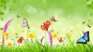 Spring, flowers, grass, butterfly, green background, creative design wallpaper thumb