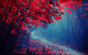 Red leaves forest, road, trees, autumn, mist, trail wallpaper thumb