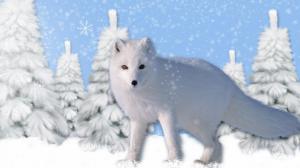 Winters White Fox wallpaper thumb