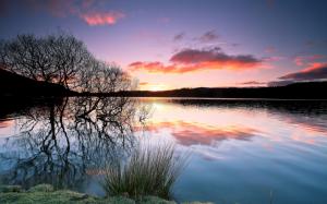 Trees, lake, water reflection, sunset, twilight wallpaper thumb