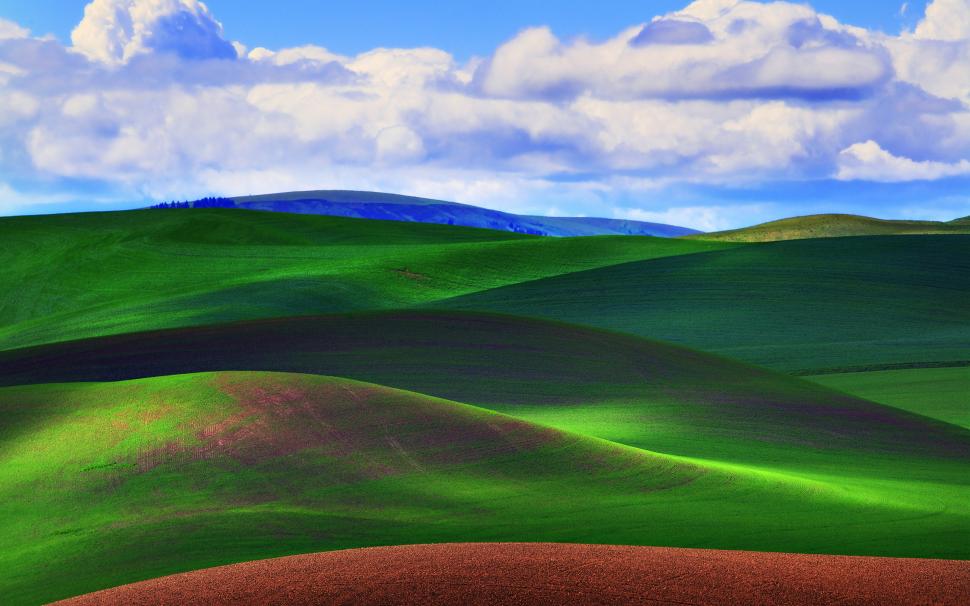 Green Grass Field wallpaper,grass HD wallpaper,field HD wallpaper,2560x1600 wallpaper