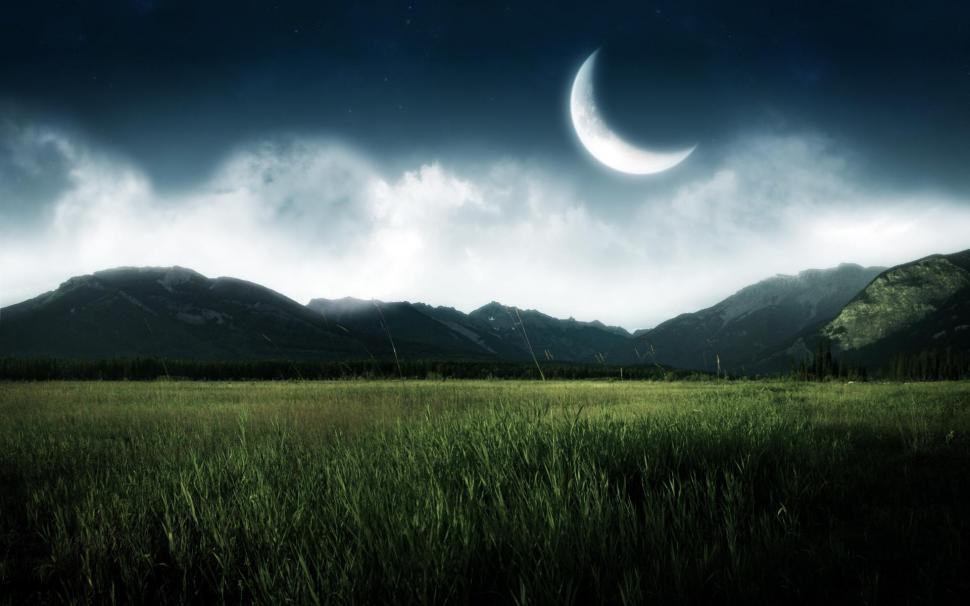 Moon Over The Field wallpaper,nature HD wallpaper,grass HD wallpaper,field HD wallpaper,moon HD wallpaper,nature & landscapes HD wallpaper,1920x1200 wallpaper