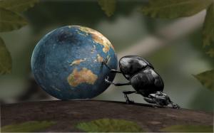 Bug rolls World wallpaper thumb
