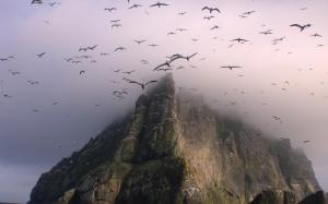 Mountains Nature Birds Fog For Desktop wallpaper thumb