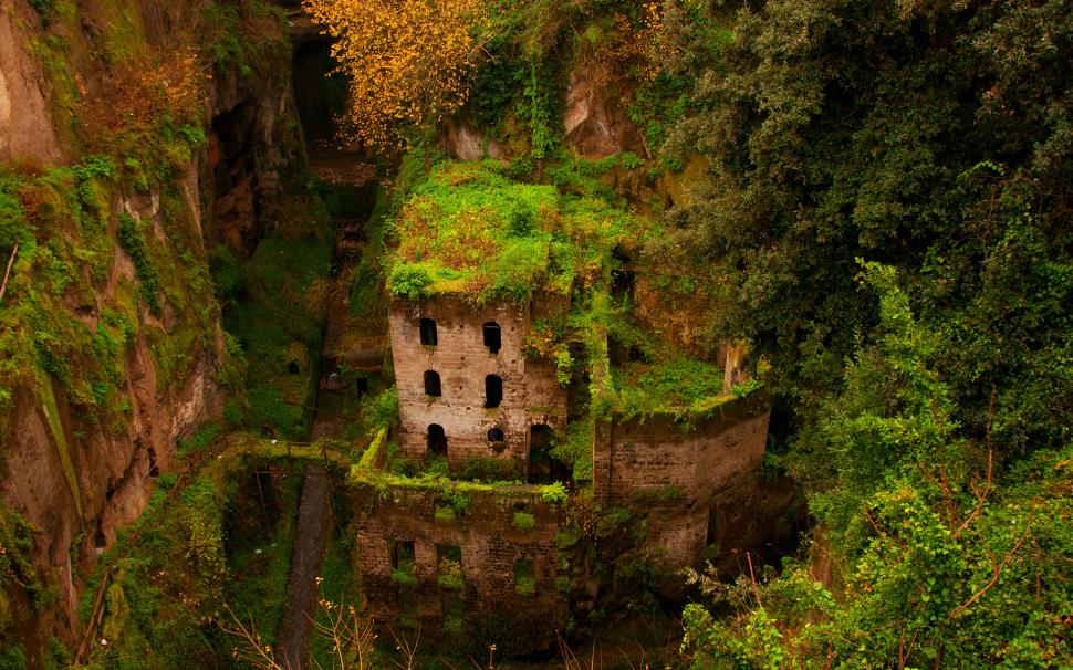 Castle Ruins Overgrowth HD wallpaper,nature HD wallpaper,castle HD wallpaper,overgrowth HD wallpaper,ruins HD wallpaper,1920x1200 wallpaper