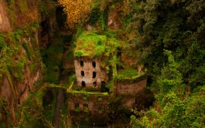 Castle Ruins Overgrowth HD wallpaper thumb