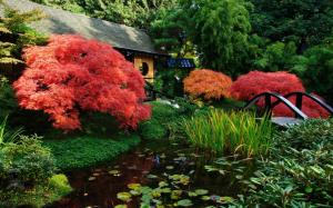 Japanese scenery, garden, pond wallpaper thumb