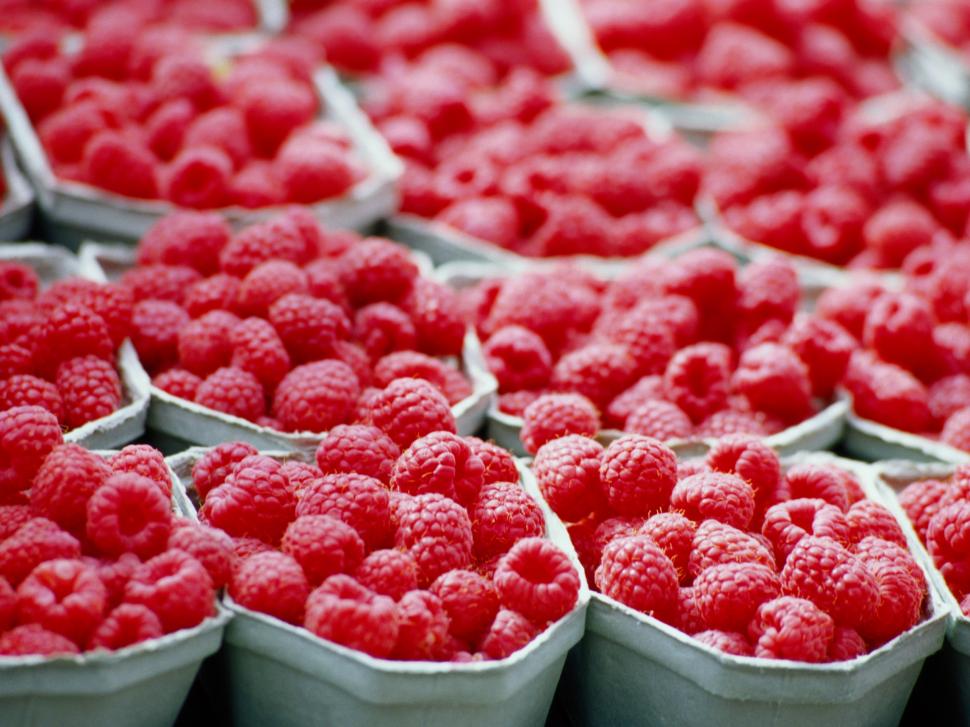 Many red raspberries, fruits photography wallpaper,Many HD wallpaper,Red HD wallpaper,Raspberries HD wallpaper,Fruits HD wallpaper,Photography HD wallpaper,2560x1920 wallpaper