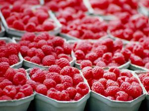 Many red raspberries, fruits photography wallpaper thumb