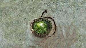 Apple Trees Stereographic HD wallpaper thumb