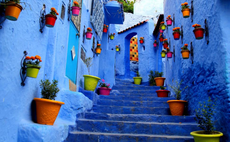 Flowers, City, Stairs, Blue, Photography wallpaper,flowers HD wallpaper,city HD wallpaper,stairs HD wallpaper,blue HD wallpaper,photography HD wallpaper,2048x1269 wallpaper