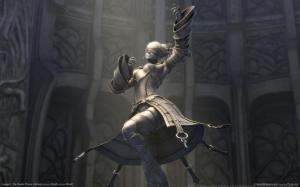 Lineage 2: The Chaotic trone: Interlude wallpaper thumb