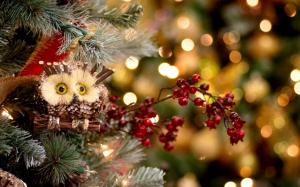 Christmas Tree Owl Toy Berries Red New Year Winter wallpaper thumb