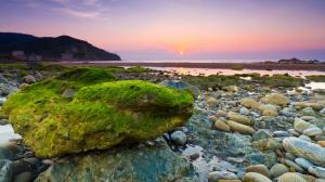 Sea, beach, rocks, stones, moss, morning, dawn, sunrise wallpaper thumb