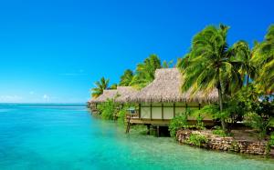 Sea, blue sky, resort, bungalow, palm trees, beach wallpaper thumb