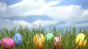Colored Easter Eggs hidden in Grass HD wallpaper thumb