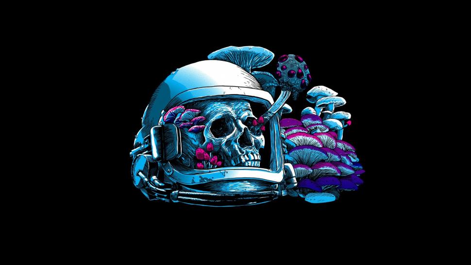 Skull, mushroom, artwork, astronaut, mushroom wallpaper,skull HD wallpaper,mushroom HD wallpaper,artwork HD wallpaper,astronaut HD wallpaper,mushroom HD wallpaper,1920x1080 wallpaper