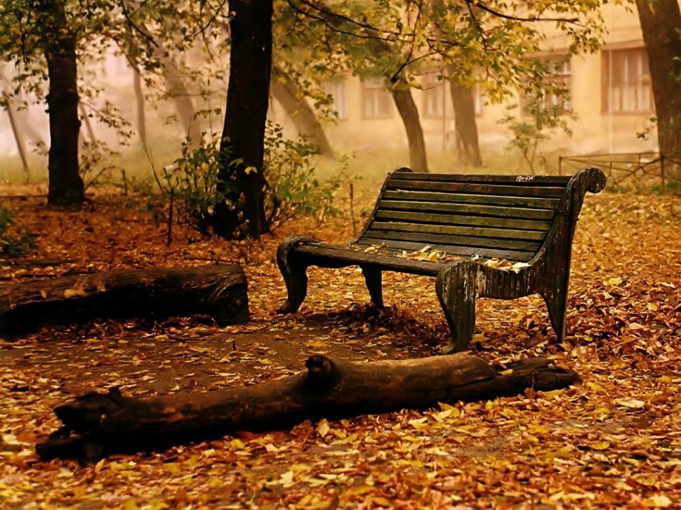 Old bench in the park autumn leaves Trees HD wallpaper,nature wallpaper,trees wallpaper,leaves wallpaper,autumn wallpaper,1024x768 wallpaper