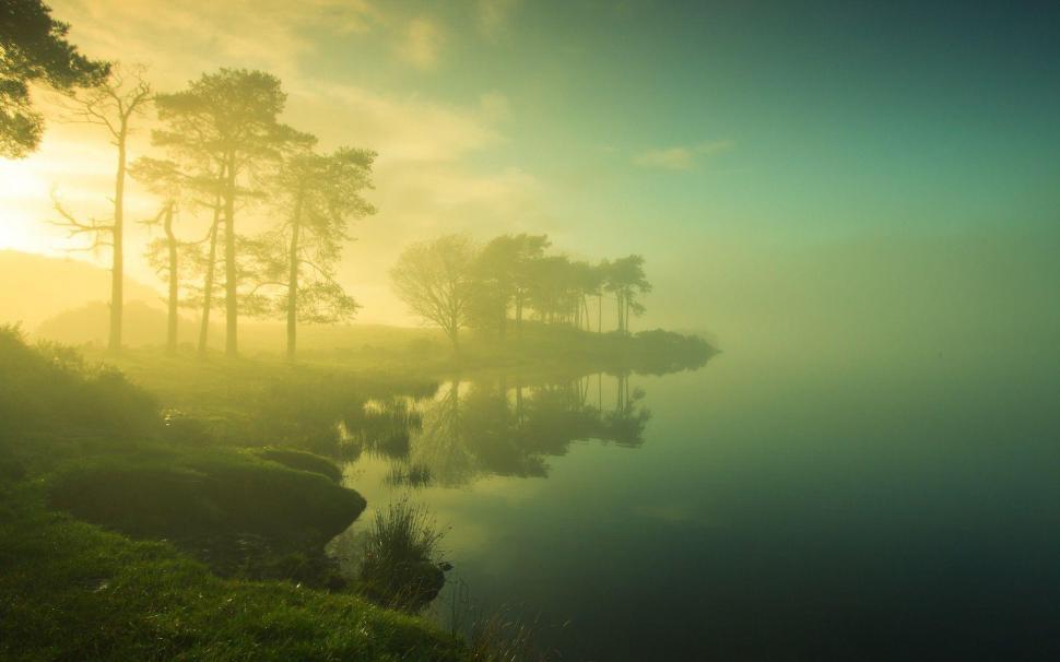 Morning mist on the lake wallpaper,nature HD wallpaper,1920x1200 HD wallpaper,cloud HD wallpaper,tree HD wallpaper,lake HD wallpaper,mist HD wallpaper,morning HD wallpaper,1920x1200 wallpaper