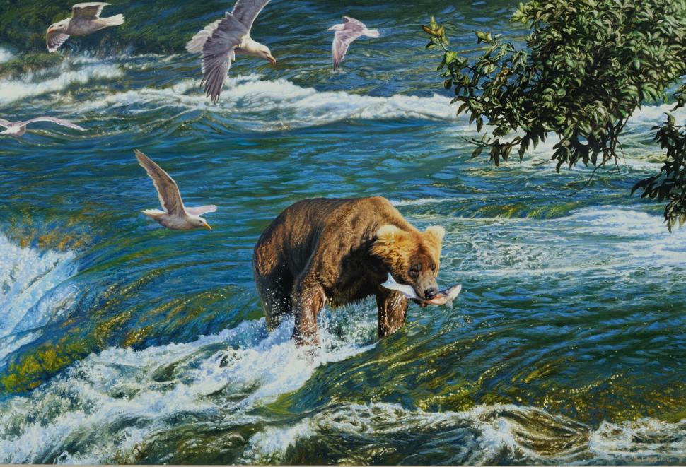 Bear hunting in river wallpaper,picture HD wallpaper,river HD wallpaper,Birds HD wallpaper,bear HD wallpaper,hunting HD wallpaper,2048x1396 wallpaper