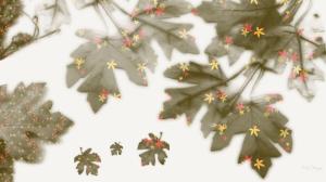 Clusters Of Autumn wallpaper thumb