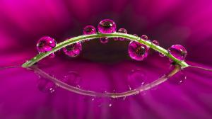 Purple Water Drops Macro HD wallpaper thumb
