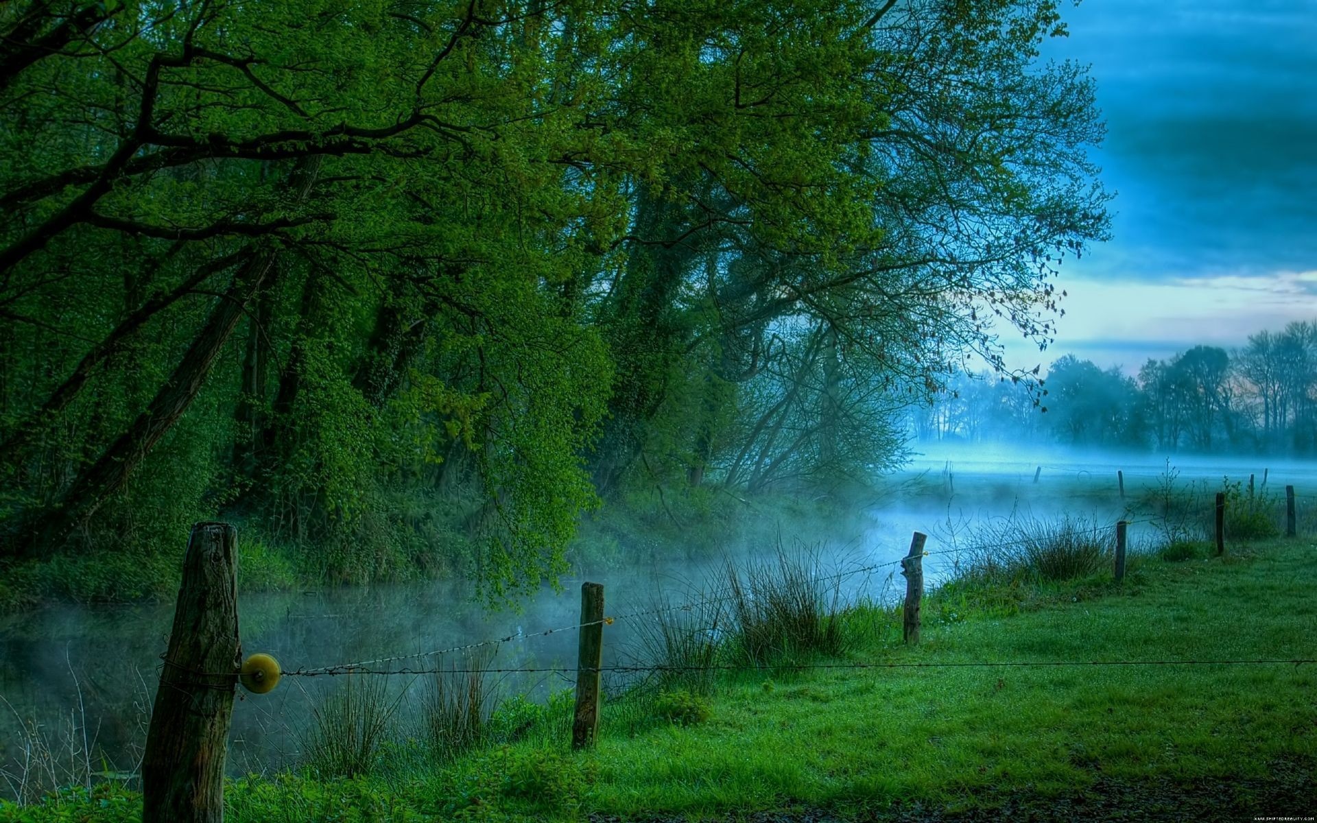 Misty Morning River Wallpaper Nature And Landscape Wallpaper Better