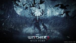 2014 The Witcher 3 Wild Hunt Game wallpaper thumb